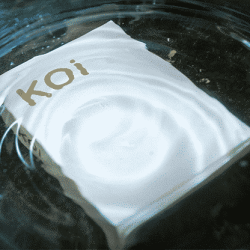 Koi V2 Playing Cards - Byron Leung