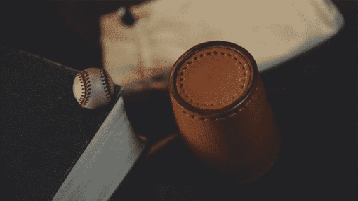 Leather Chop Cup with Balls (Bruin) - TCC