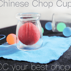 CCC Chinese Chop Cup - Ziv