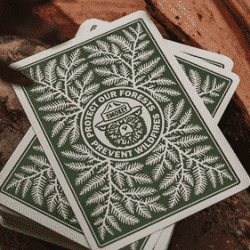 Smokey Bear Playing Cards -  Art of Play