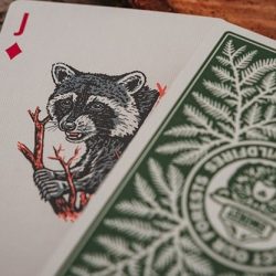 Smokey Bear Playing Cards -  Art of Play