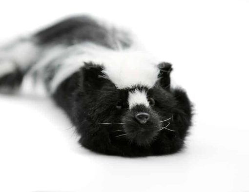 Original Sammy The Skunk - Spring Animal By Magic Makers