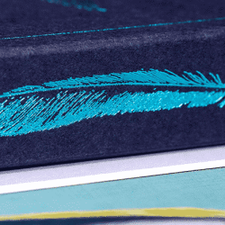 Feather Deck: Goldfinch Edition (Teal) - Joshua Jay