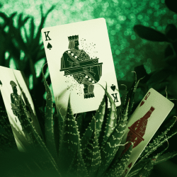 Succulent Playing Cards