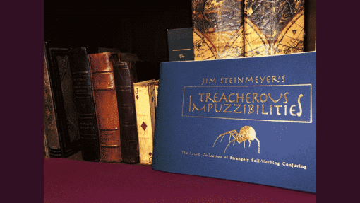 Treacherous Impuzzibilities - Jim Steinmeyer