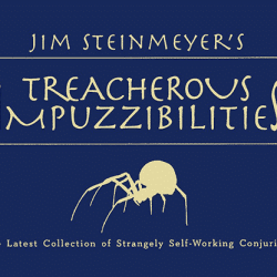 Treacherous Impuzzibilities - Jim Steinmeyer