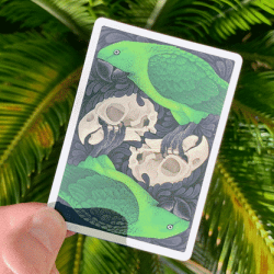 Bicycle Extinct Parrot Playing Cards