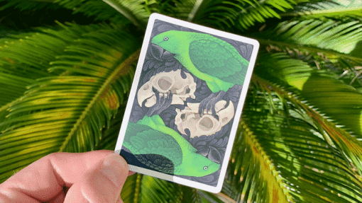 Bicycle Extinct Parrot Playing Cards