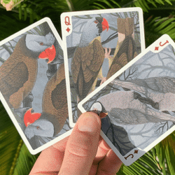 Bicycle Extinct Parrot Playing Cards