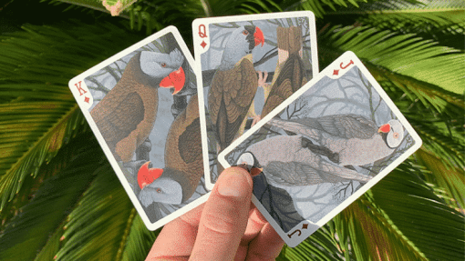 Bicycle Extinct Parrot Playing Cards