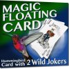 The Hummingbird Card - Magic Makers