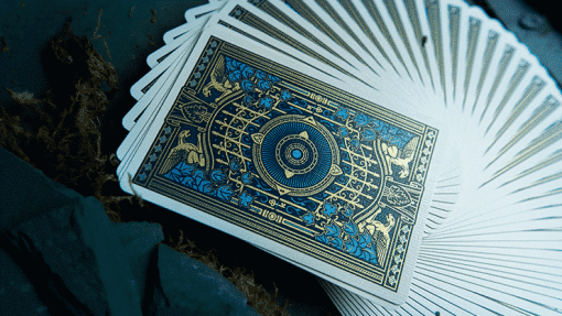 Limited Edition Abandoned Deluxe Playing Cards - Dynamo