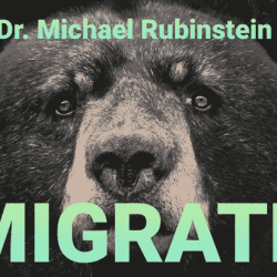 MIGRATE POKER CHIP - Dr. Michael Rubinstein