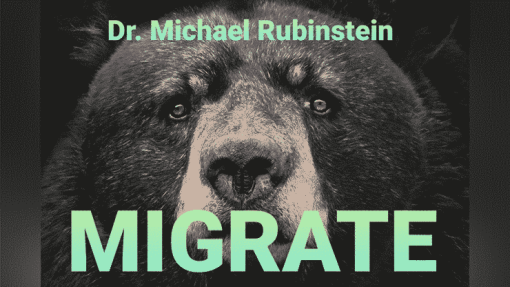 MIGRATE POKER CHIP - Dr. Michael Rubinstein