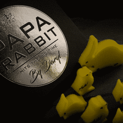 Papa Rabbit Hits The Big Time - DARYL