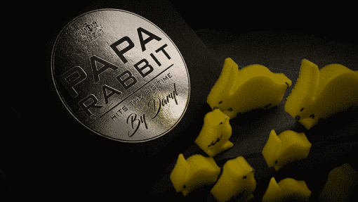 Papa Rabbit Hits The Big Time - DARYL