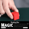 Shrinking Dice - Magic Makers