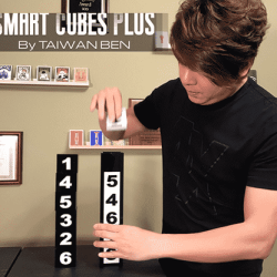 Smart Cubes PLUS (Medium / Parlor) - Taiwan Ben