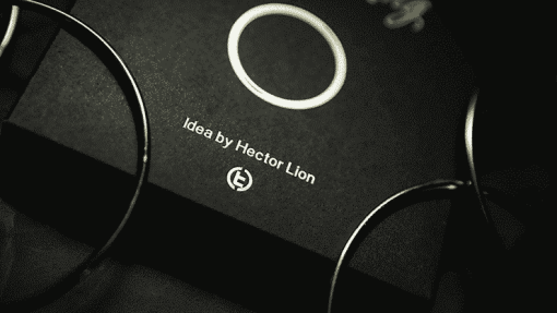 Lion Rings - Hector Lion & TCC