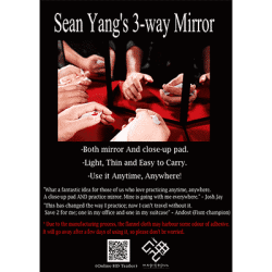 3-Way Mirror - Sean Yang and Magic Soul