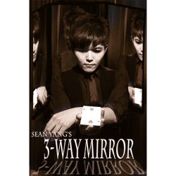 3-Way Mirror - Sean Yang and Magic Soul