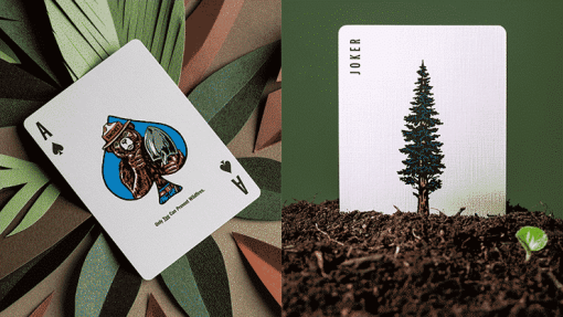 Smokey Bear Limited Edition Playing Cards - Art of Play