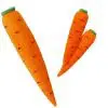 Multiplying Carrots - Di Fatta