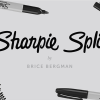 The Vault - Sharpie Split by Brice Bergman