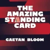 The Amazing Standing Card - Gaetan Bloom