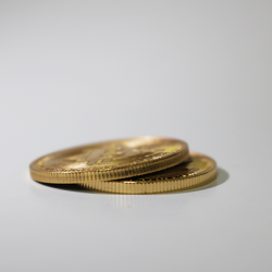 Bit Coin Shell (Goud) - SansMinds Creative Lab