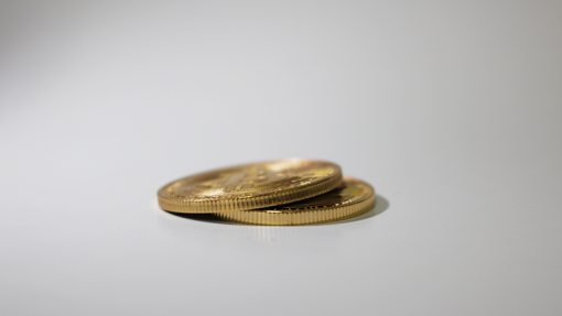 Bit Coin Shell (Goud) - SansMinds Creative Lab