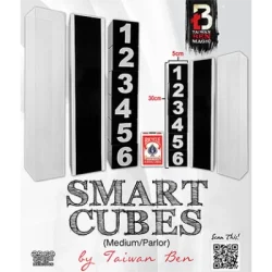 Smart Cubes (Medium / Parlor) by Taiwan Ben [tweede kans]