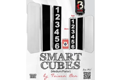 Smart Cubes (Medium / Parlor) by Taiwan Ben [tweede kans]