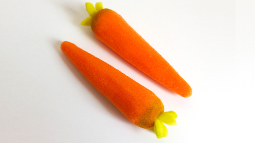 Sponge Carrots (2 pieces) - Alexander May