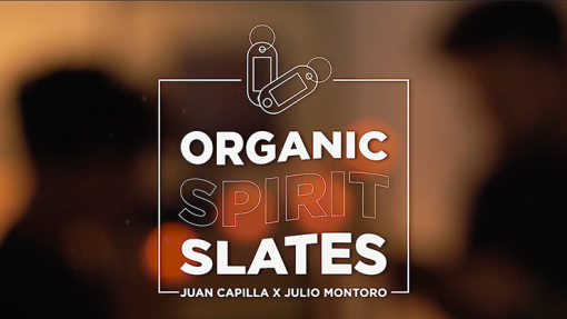 Organic Spirit Slates - Juan Capilla and Julio Montoro