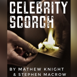 Celebrity Scorch (Downey Jr & Beckham) - Mathew Knight and Stephen Macrow (kopie)