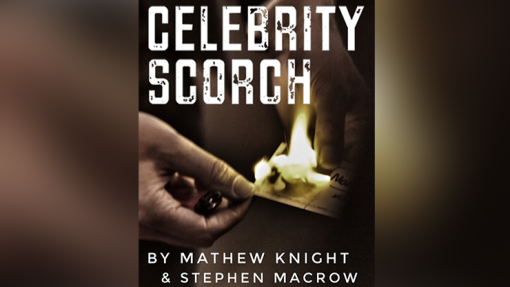 Celebrity Scorch (Downey Jr & Beckham) - Mathew Knight and Stephen Macrow (kopie)