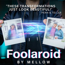 FOOLAROID - Lovestory Edition - Mellow