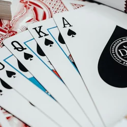 DMC Shark V2 Playing Cards