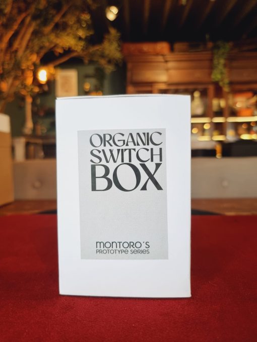 Organic Switch Box - Julio Montoro