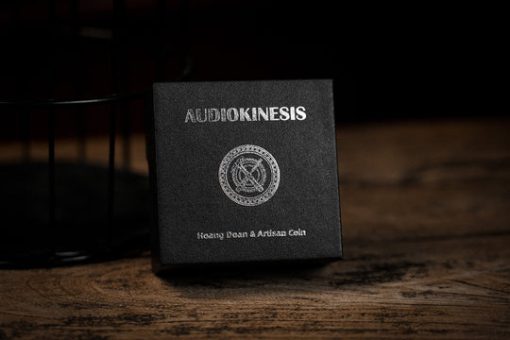 Audiokinesis - Hoang Doan Minh & Artisan Coin (DOLLAR SIZE)