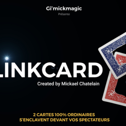 LinkCard RED - Mickaël Chatelain