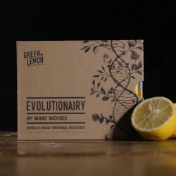 Evolutionairy - Green Lemon & Marc Woods