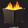 Fire Zap Book - Panda Magic