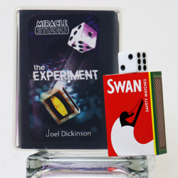 THE EXPERIMENT - Joel Dickinson