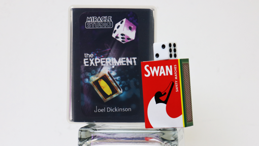 THE EXPERIMENT - Joel Dickinson