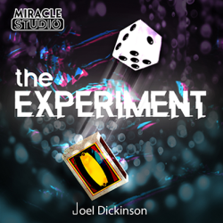 THE EXPERIMENT - Joel Dickinson