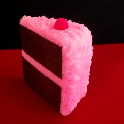 Sponge Slice of Cake - Alexander May